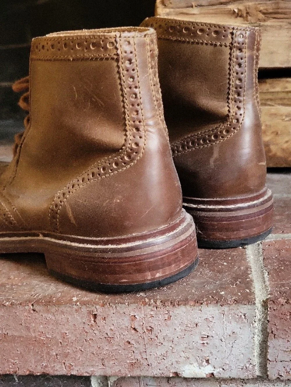 Cole Haan Brown Leather Chukka Wingtip Boot